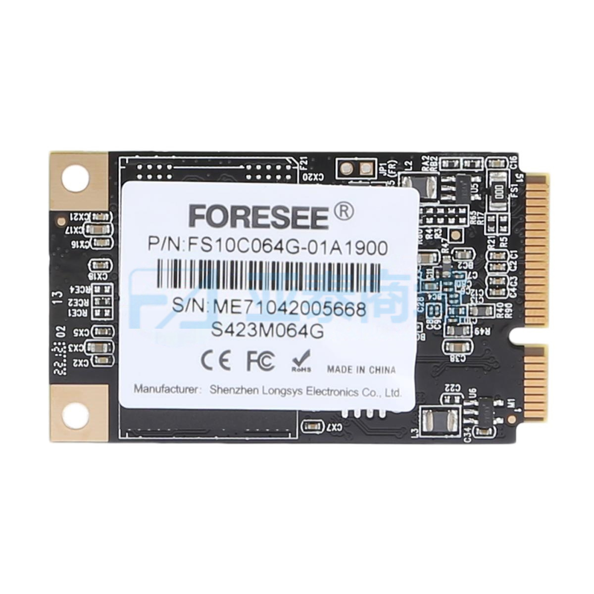 FS10C064G-01A1900